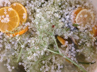 Fertige goldene Holunderlimonade mit Zitronen und Orangen