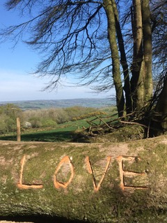 Das Wort LOVE in einen liegenden Baumstamm geschnitzt, Blick ins weite Tal